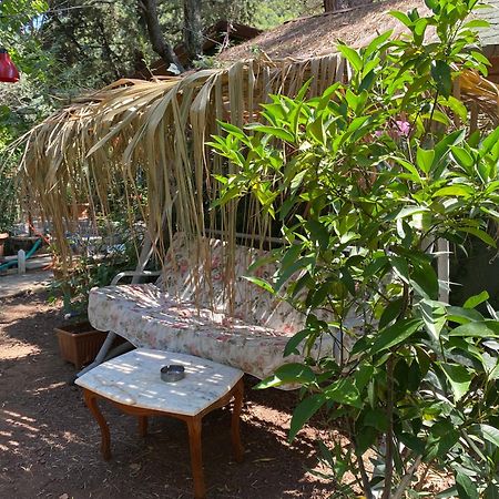 Canario Bungalows Cirali Exterior photo